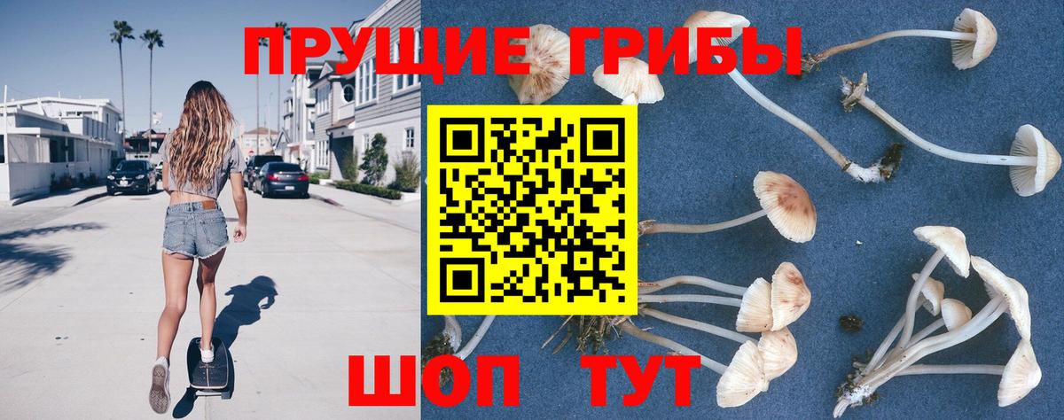 Псилоцибиновые грибы мицелий  Псилоцибиновые грибы Magic Shrooms  Сокол  Вход с VPN 