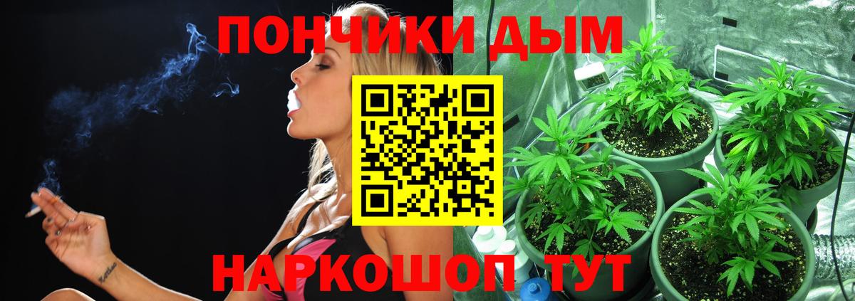 Бошки марихуана Amnesia Сокол
